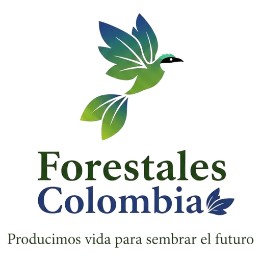 Forestales Colombia